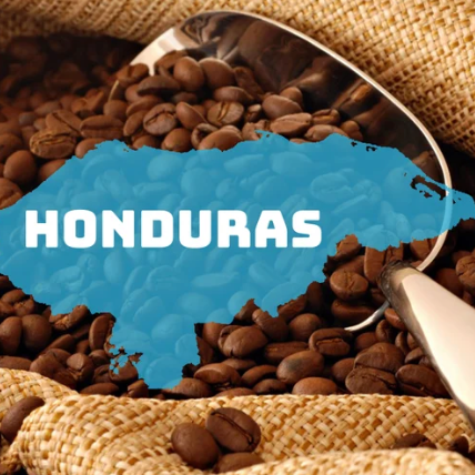 Honduran Coffee Flavor Profile Explained – 42 Days Coffee