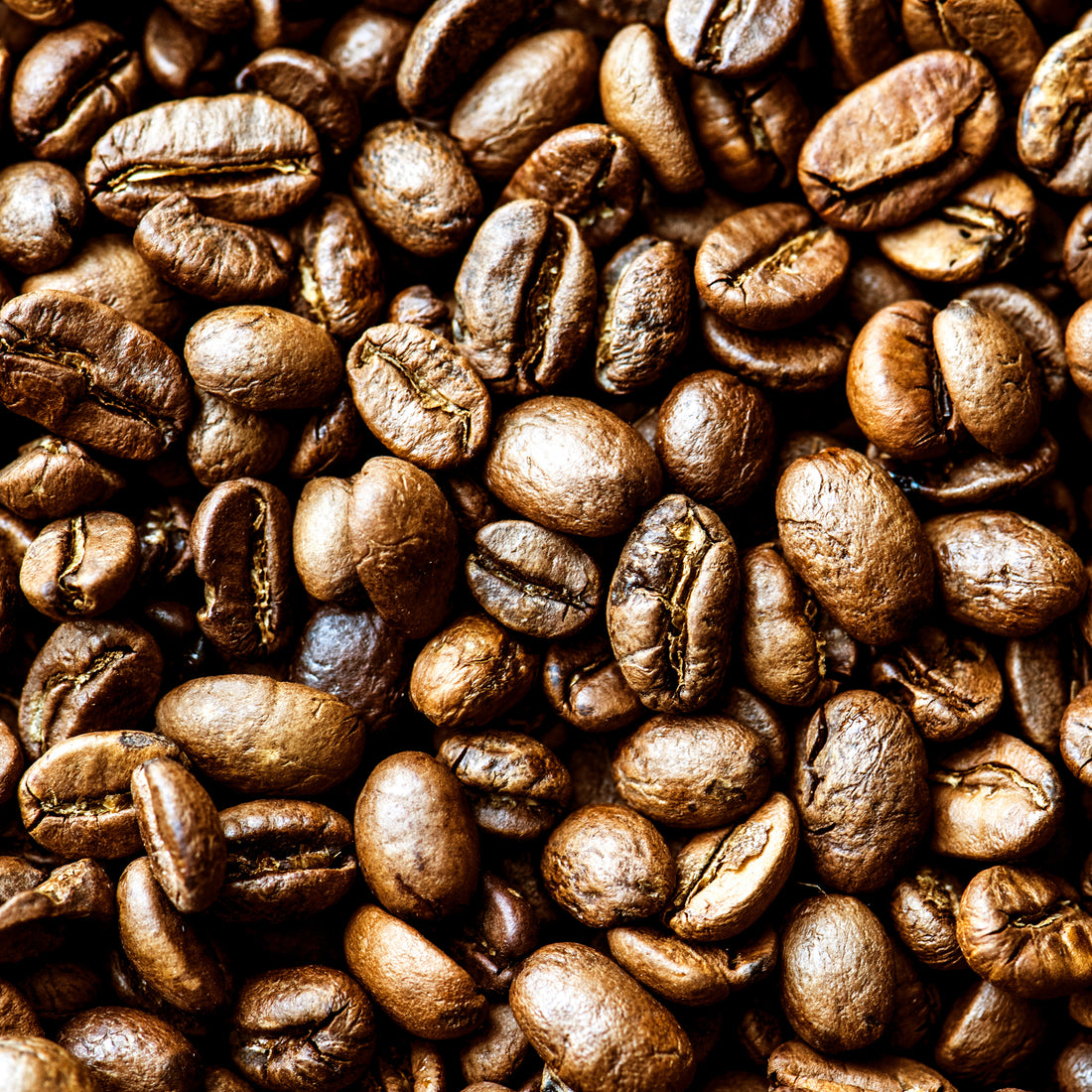 Organic Whole Coffee Beans