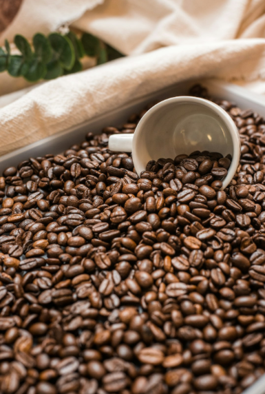 Best Espresso Beans for Home Brewing