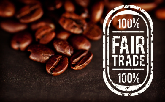 7 Fair Trade Coffee Impact Examples