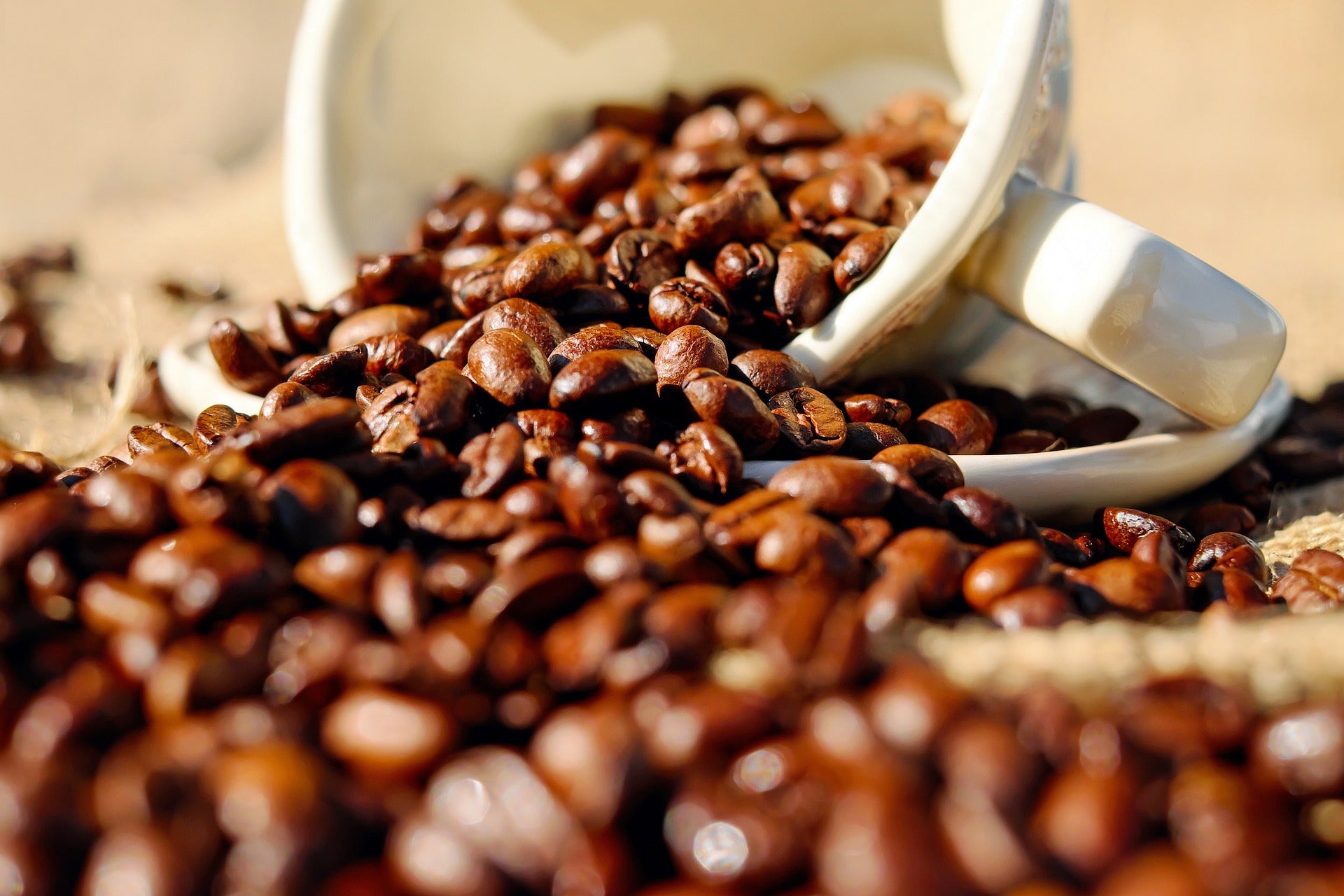 Mama's Daily Grind Decaf Espresso – 42 Days Coffee